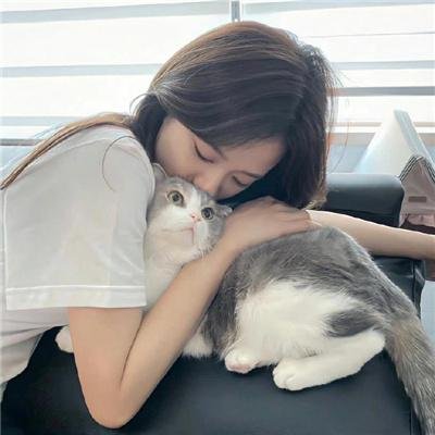 动物管制官第三季